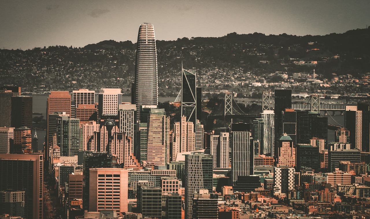 也验证了他 也验证了他