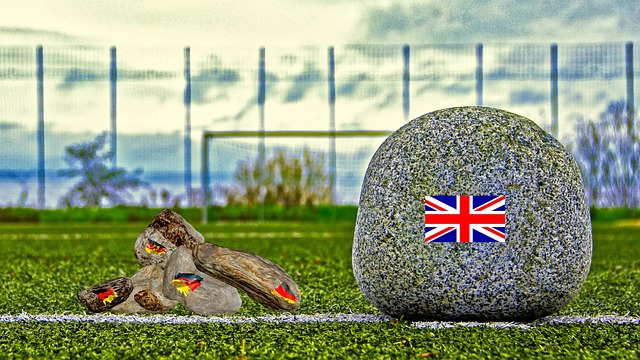 瓦拉內表示 瓦拉內表示