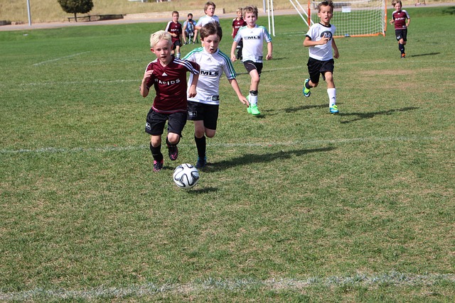 发展描绘出 发展描绘出