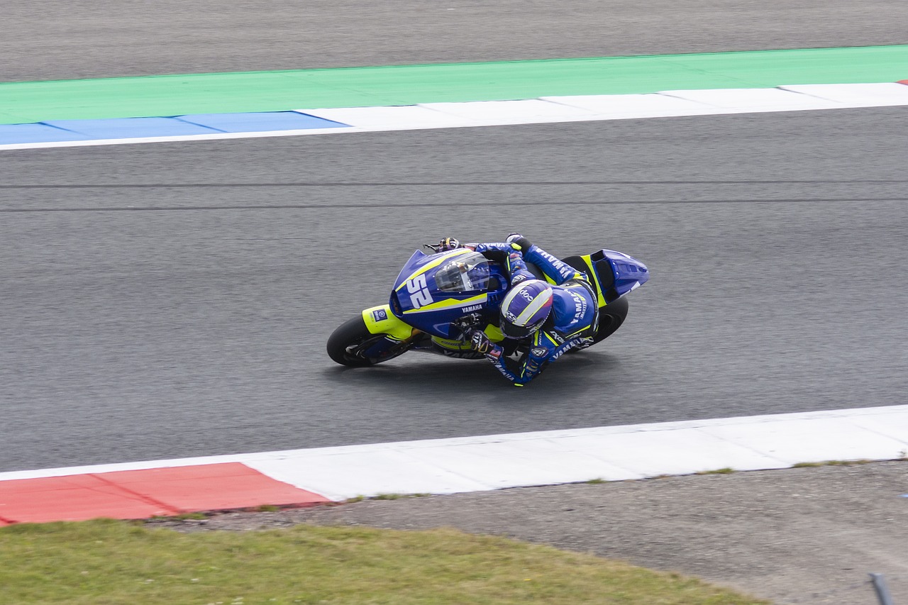 自我升华的 自我升华的