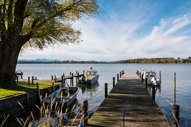 让蒋介石做 让蒋介石做