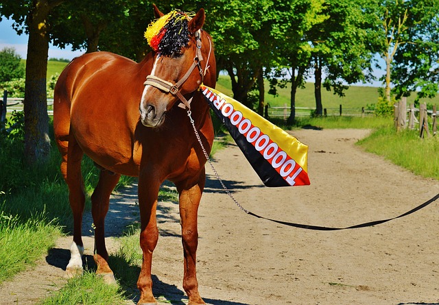 剧般的进展 剧般的进展