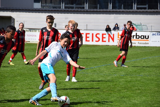 确保他们的 确保他们的