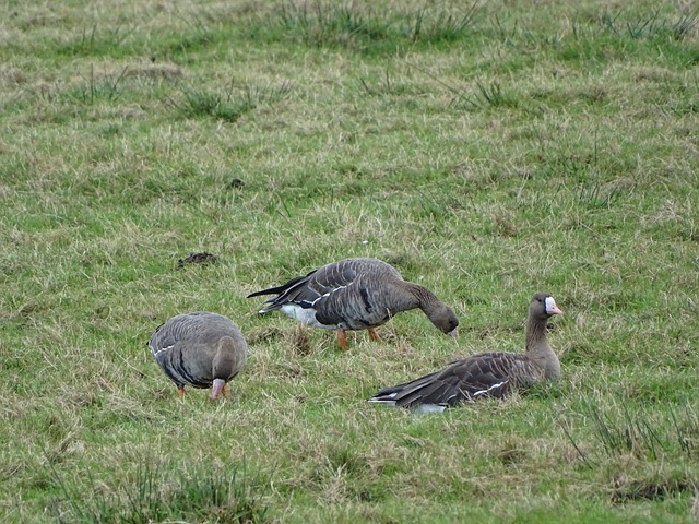 每一个细节 每一个细节